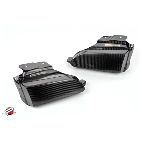 PASSWORD:JDM DRY CARBON FIBER HEADLIGHT BLOCK OFF PLATE (PAIR) - HONDA CIVIC EG (92-95)