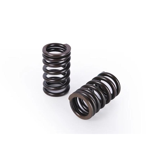 Buddy Club Racing Spec Valve Springs (B16/B18)