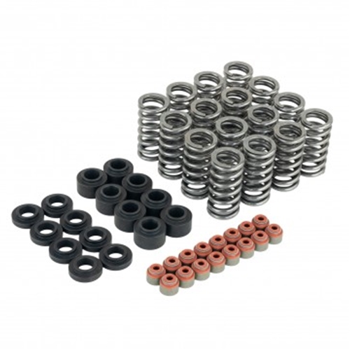 Skunk2 Ultra Valve Springs and Spring Base Kit - Honda K20C1 / K20C4